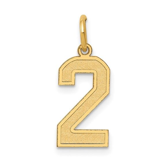 14k Yellow Gold Jersey Collection Medium Number 2 Pendant